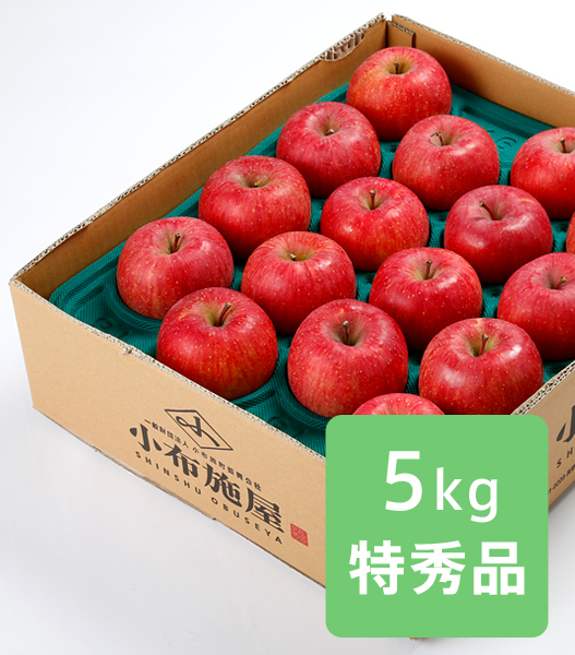 りんご ふじ 特秀品　5kg