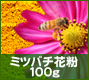 ミツバチ花粉(100g)