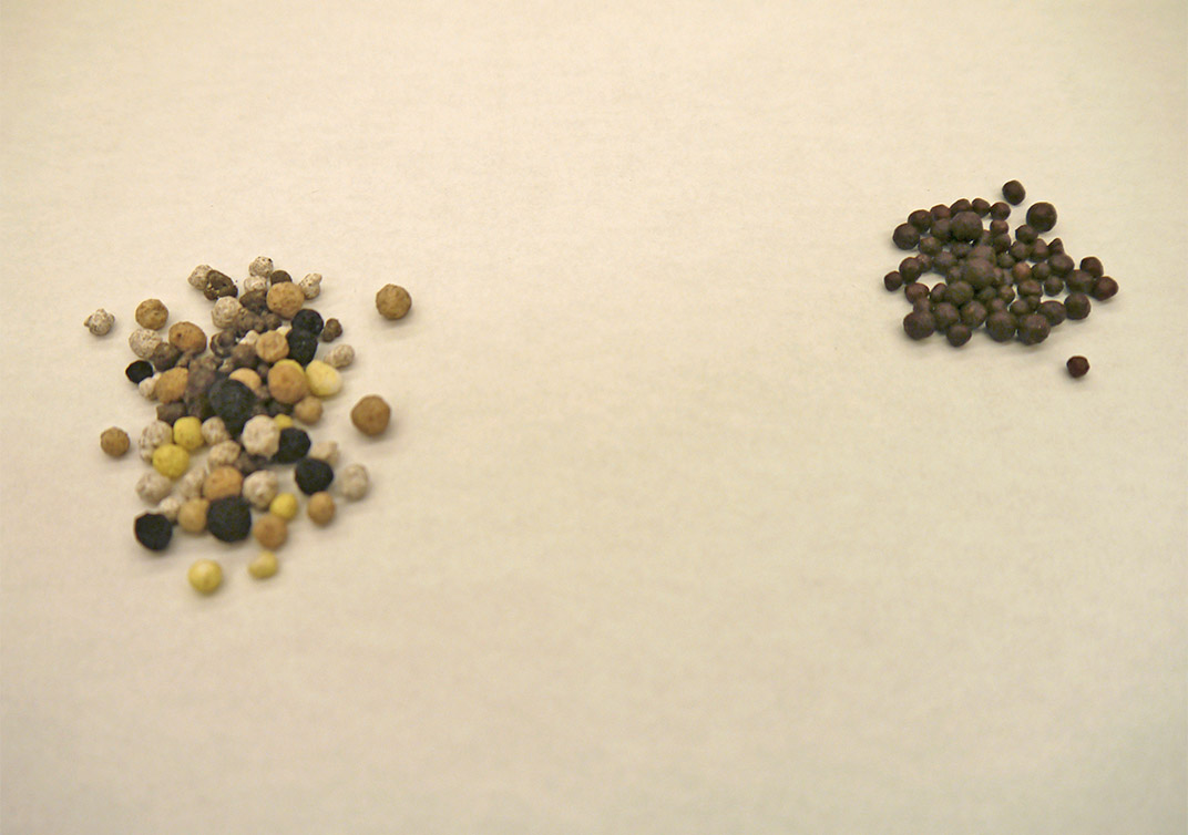 従来の肥料（左）とネクスコート（右）