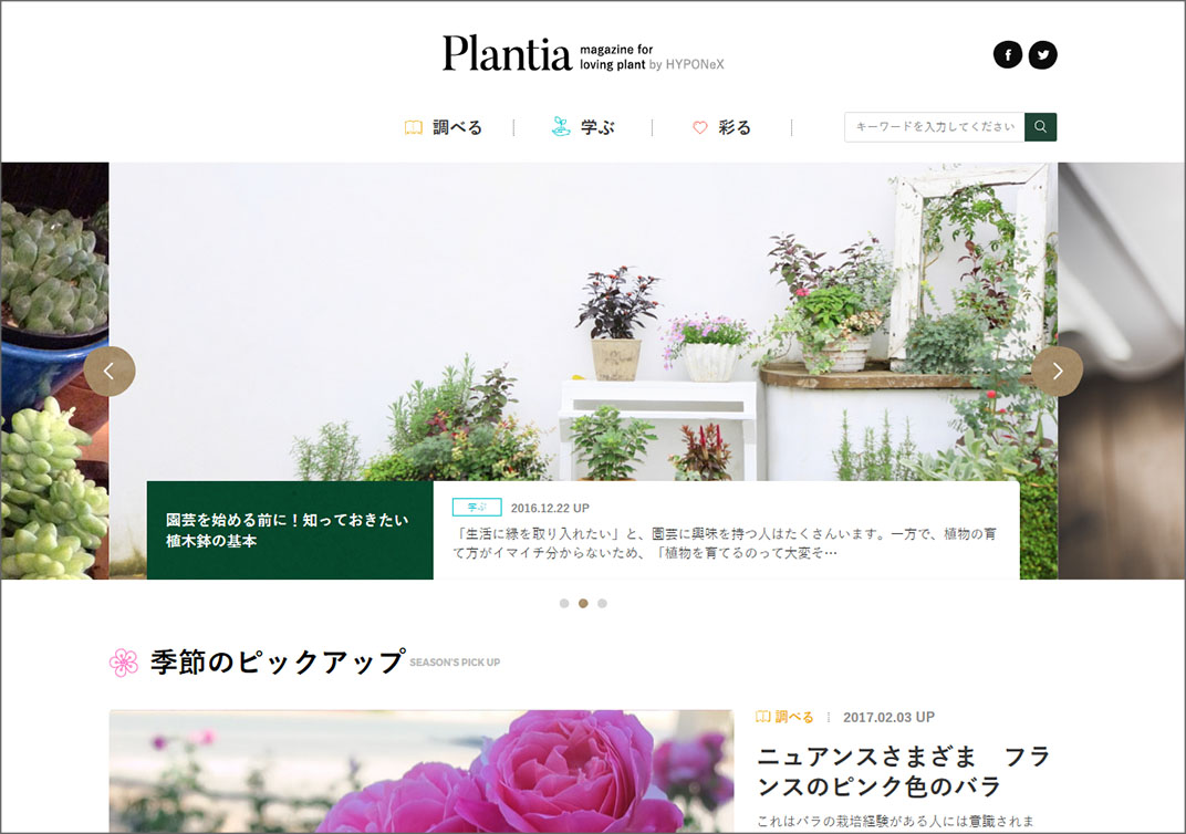 オウンドメディア【Plantia by HYPONeX】